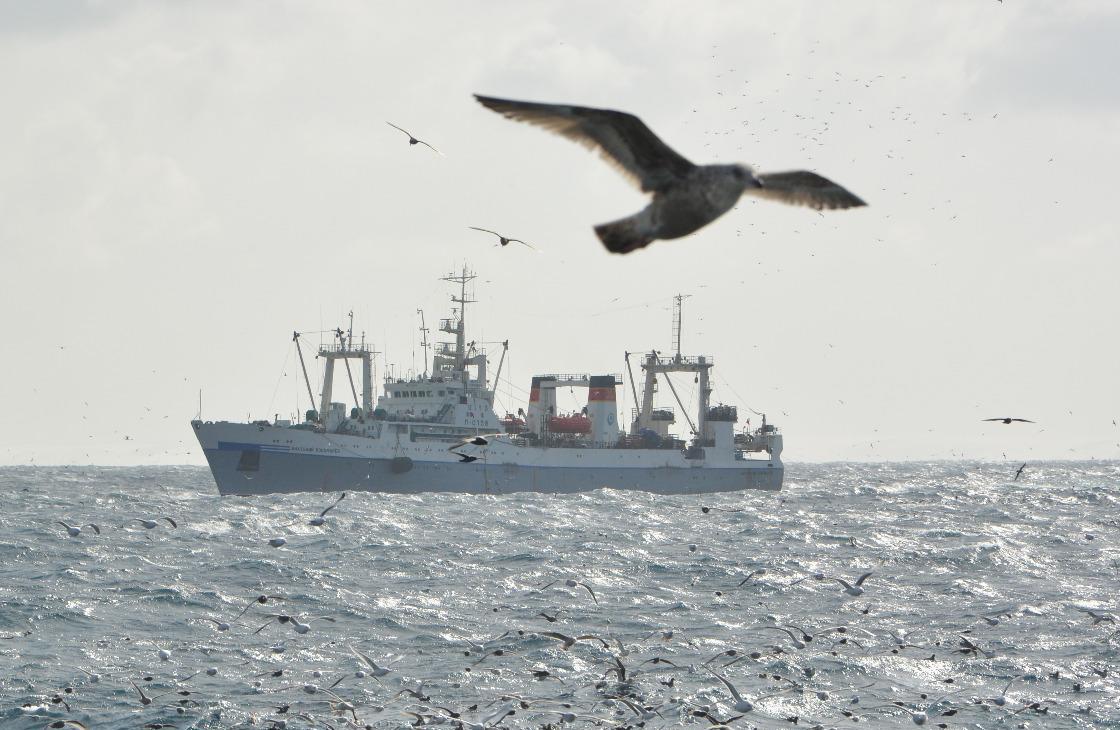 Рыбацкий флот хотят обеспечить российским быстрым интернетом